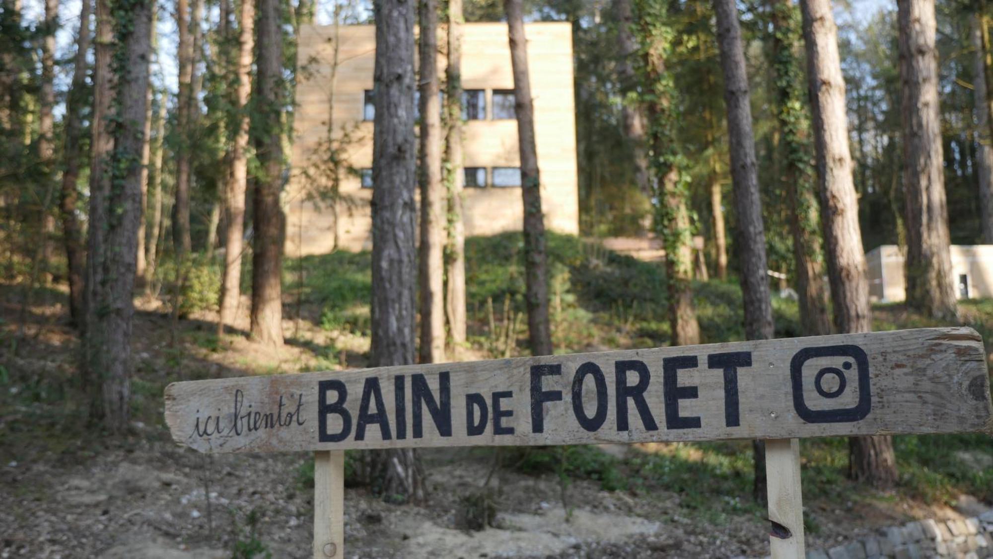 Bain De Foret - Lodges Cosy & Spa Neufchâtel-Hardelot Rom bilde